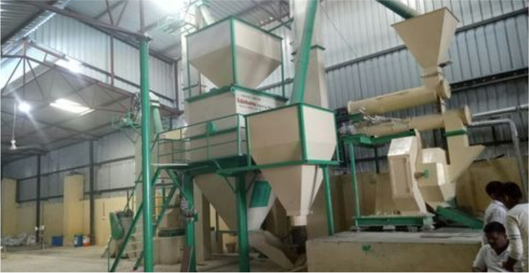 Cattle Feed Plants